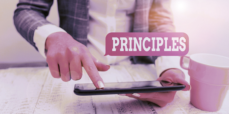 Principles for Mobile Interface